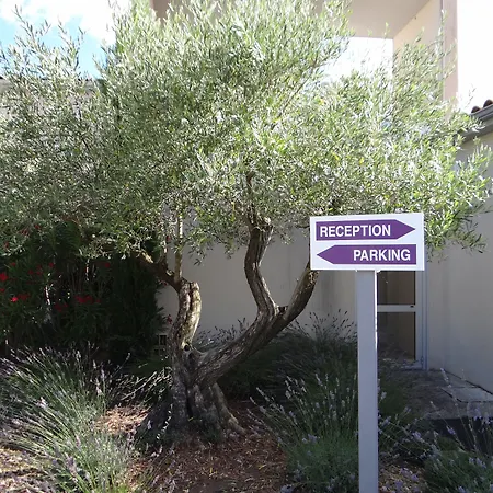 Patio De Violette Hotel 3*