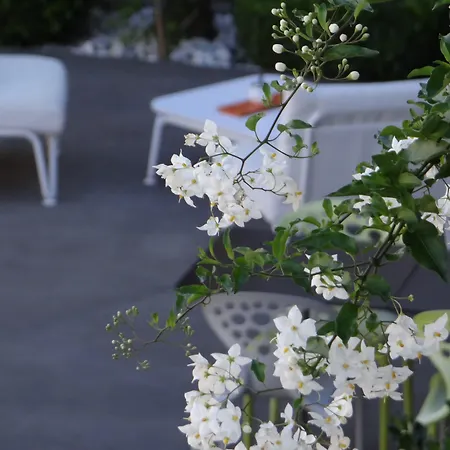 Patio De Violette Юзес