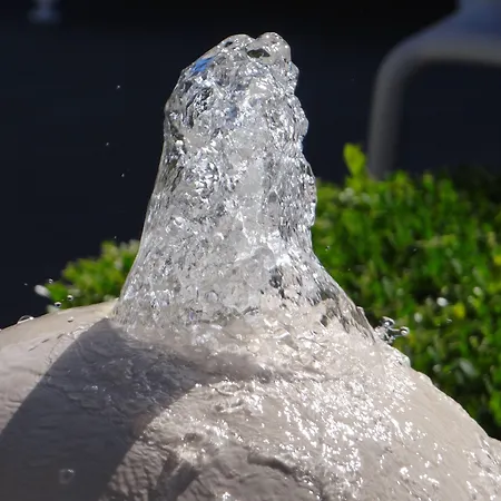 Patio De Violette Hotel