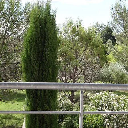 Patio De Violette Hotell 3*