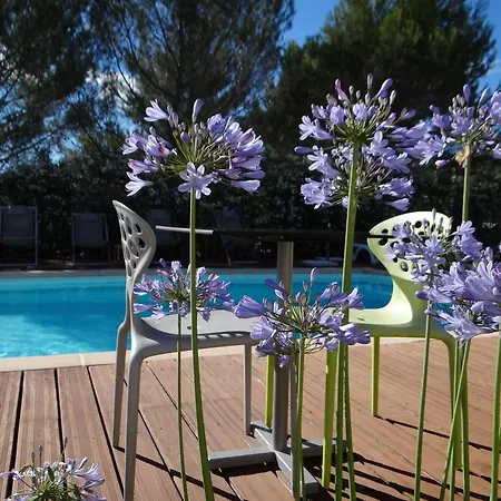 Patio De Violette Hotel