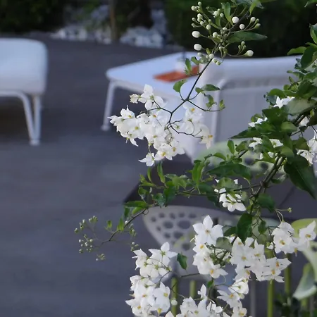 Hotel Patio De Violette