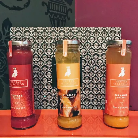 Hotel Patio De Violette Uzès