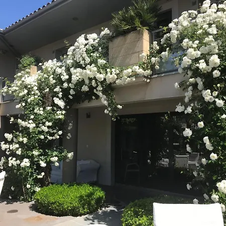 Hotel Patio De Violette 3*